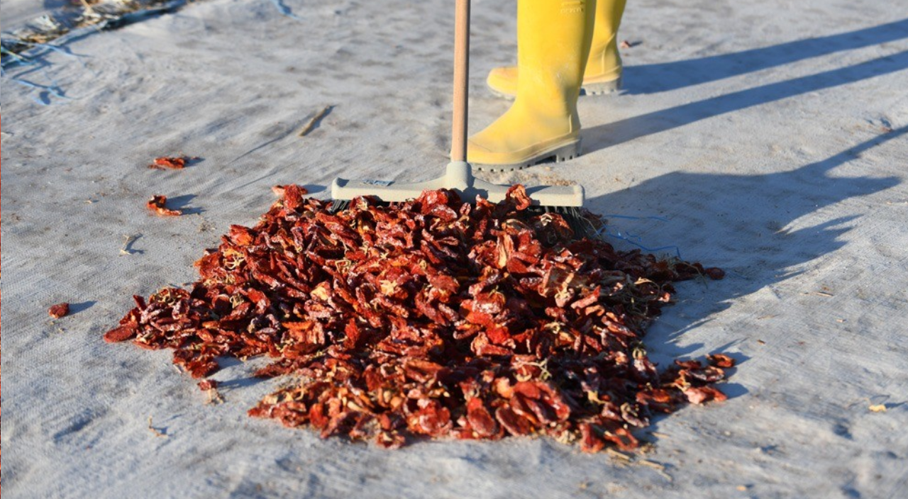 Kayseri'de kurutulan domatesler renkli görüntüler oluşturdu